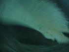 thumbs/IMG_2126.jpg