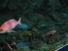 thumbs/IMG_2129.jpg