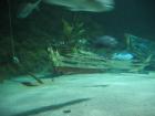 thumbs/IMG_2131.jpg