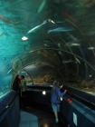 thumbs/IMG_2132.jpg