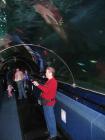 thumbs/IMG_2133.jpg