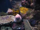 thumbs/IMG_2136.jpg