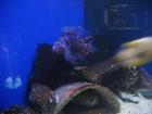 thumbs/IMG_2137.jpg