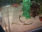 thumbs/IMG_2138.jpg