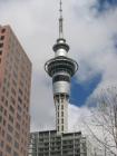 thumbs/IMG_2139.jpg