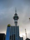 thumbs/IMG_2186.jpg