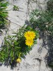 thumbs/IMG_2201.jpg