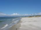 thumbs/IMG_2202.jpg