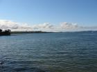 thumbs/IMG_2228.jpg