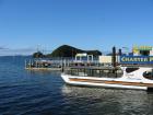 thumbs/IMG_2229.jpg