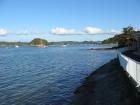 thumbs/IMG_2231.jpg