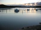 thumbs/IMG_2237.jpg