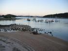 thumbs/IMG_2238.jpg