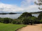 thumbs/IMG_2250.jpg