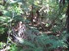 thumbs/IMG_2272.jpg