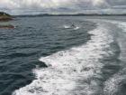 thumbs/IMG_2286.jpg