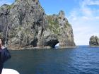 thumbs/IMG_2310.jpg