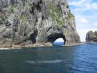 thumbs/IMG_2313.jpg