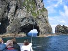 thumbs/IMG_2314.jpg