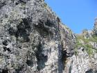 thumbs/IMG_2315.jpg