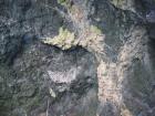 thumbs/IMG_2318.jpg