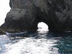 thumbs/IMG_2325.jpg