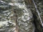 thumbs/IMG_2331.jpg