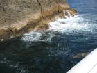 thumbs/IMG_2332.jpg