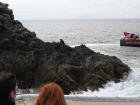 thumbs/IMG_2338.jpg
