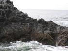 thumbs/IMG_2339.jpg