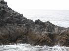thumbs/IMG_2340.jpg
