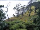 thumbs/IMG_2361.jpg
