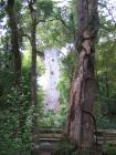 thumbs/IMG_2372.jpg