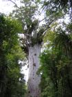 thumbs/IMG_2373.jpg