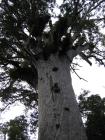 thumbs/IMG_2375.jpg