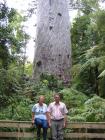 thumbs/IMG_2376.jpg