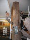 thumbs/IMG_2381.jpg