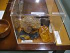 thumbs/IMG_2394.jpg