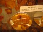 thumbs/IMG_2409.jpg