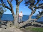 thumbs/IMG_2417.jpg