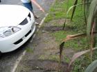 thumbs/IMG_2437.jpg
