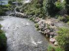 thumbs/IMG_2444.jpg