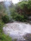 thumbs/IMG_2471.jpg