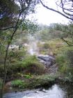 thumbs/IMG_2474.jpg