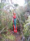 thumbs/IMG_2476.jpg