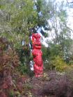 thumbs/IMG_2477.jpg