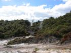thumbs/IMG_2484.jpg