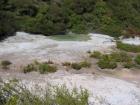 thumbs/IMG_2485.jpg