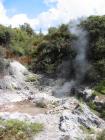thumbs/IMG_2496.jpg