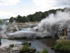 thumbs/IMG_2511.jpg